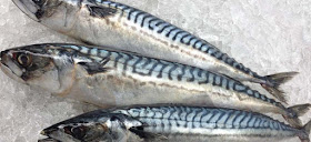 atlantic-mackerel-fish-with-omega-3-fatty-acids-list-picture