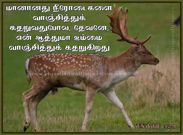 HD Tamil Christian Bible Verse Wallpapers Free Download