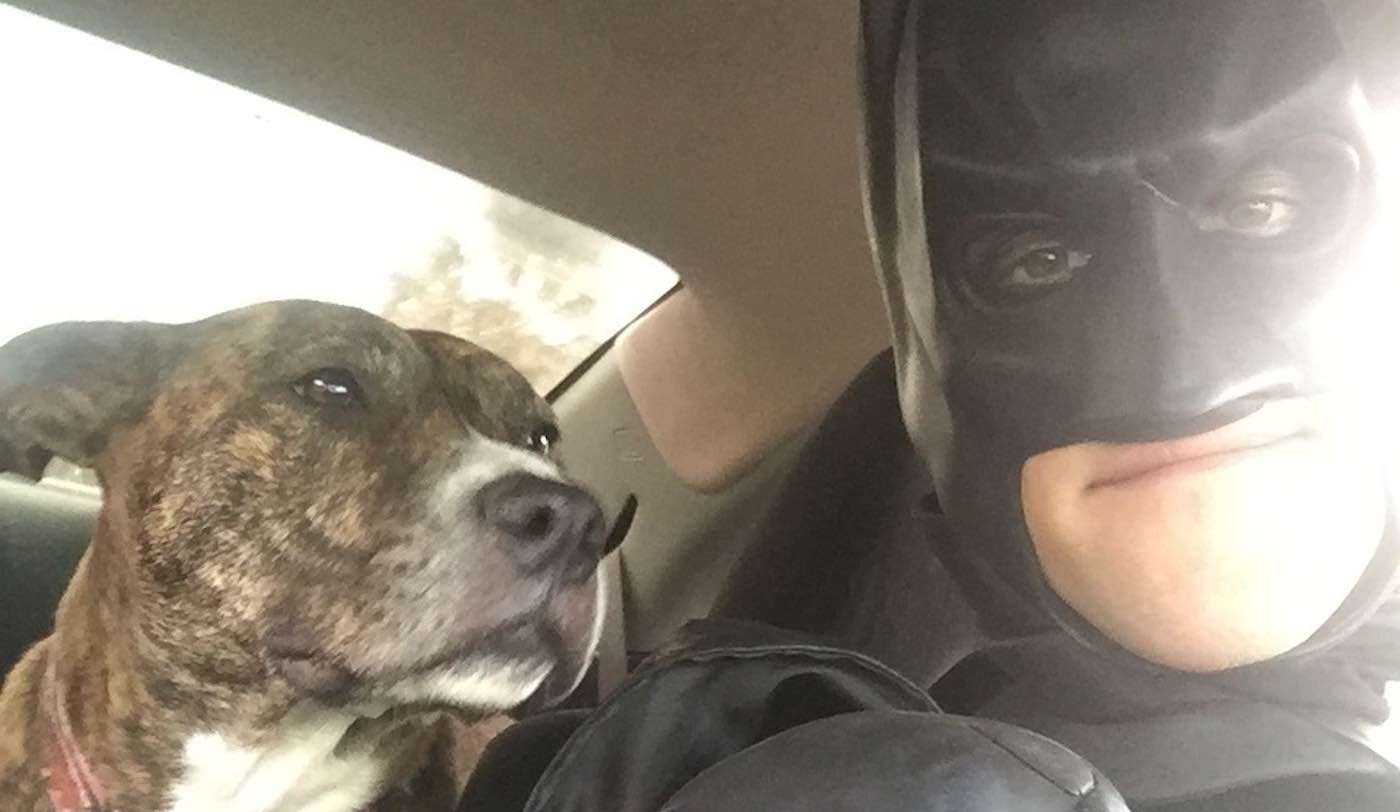 Guy Dressed As Batman Rescues Shelter Pets From Euthanasia