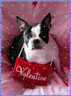 pets card for valentines day