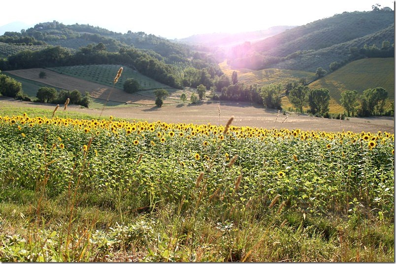 morgnano 10-12 iulie 2009 166 []