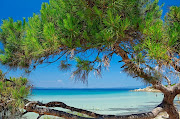 sandy beaches with crystal clear water in Greece (sandy beaches with crystal clear water in greece )