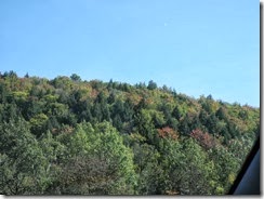 DSCN9167