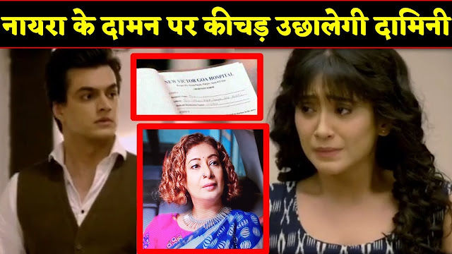 High Voltage Drama : Damini abuses Naira's motherhood turns Kartik angry man slaps Damini  in YRKKH