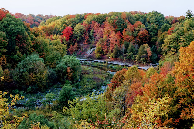 Autumn colours from a vista in Morningside Park