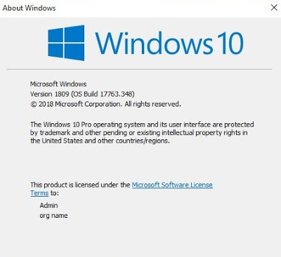 Windows 10 1809 x86 x64 Ghost