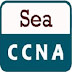 CCNA Routing-Switching -ის წიგნი პირველად ქართულ ენაზე.