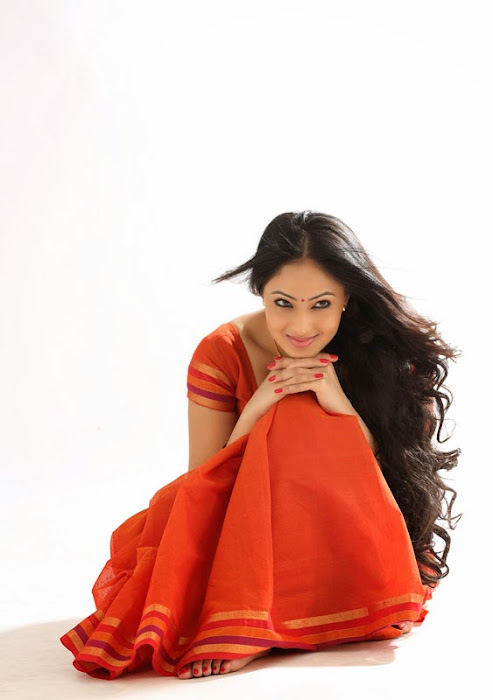 nikesha patel in saree photo gallery