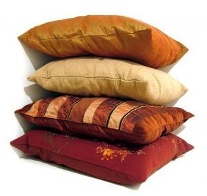 251898_cushions