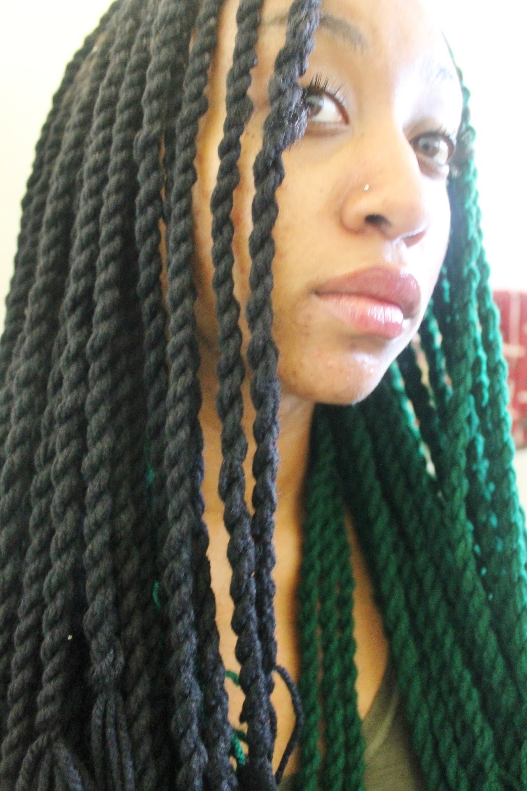 Dear Kitty :D: HairStyle: Yarn Twists/Braids