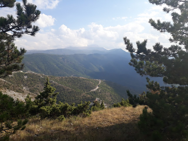 Jasen Natural Reserve Kozjak North Macedonia