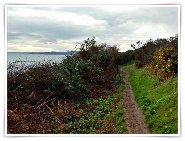 Muddy coastal footpath, Cornwall