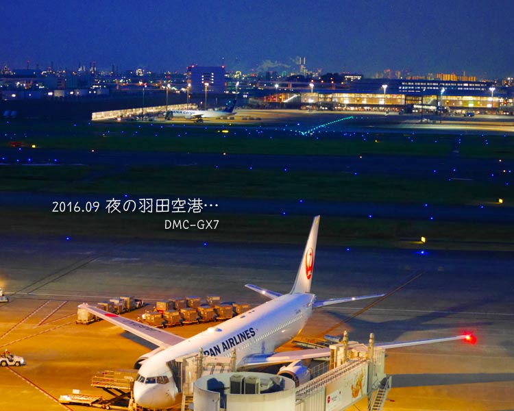  夜の羽田空港