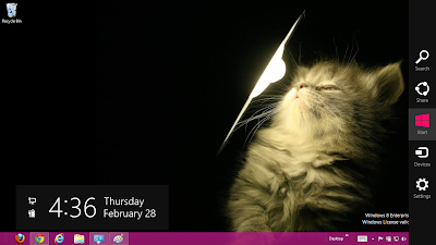 Cute Cats Theme For Windows 8