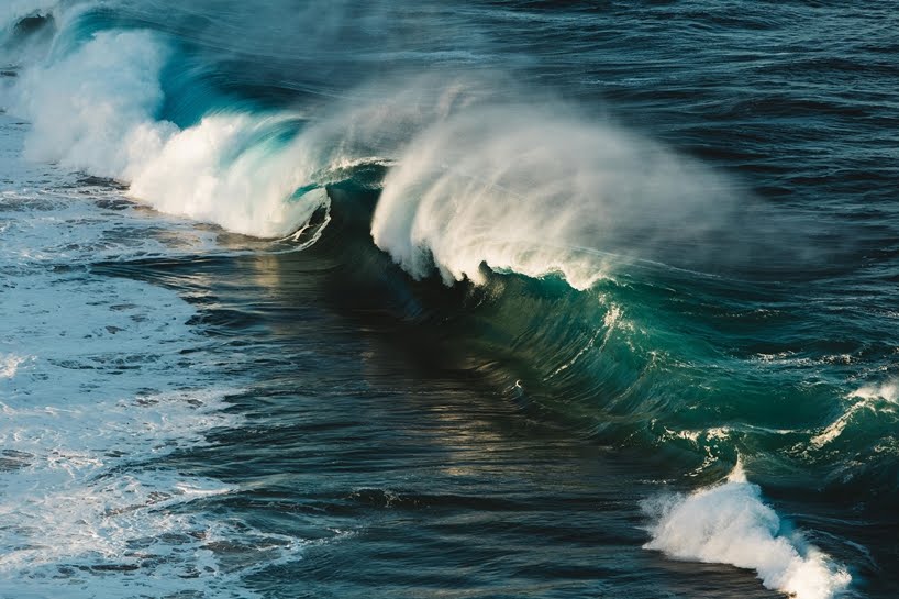 La magia del océano capturada en estas magnificas fotografías