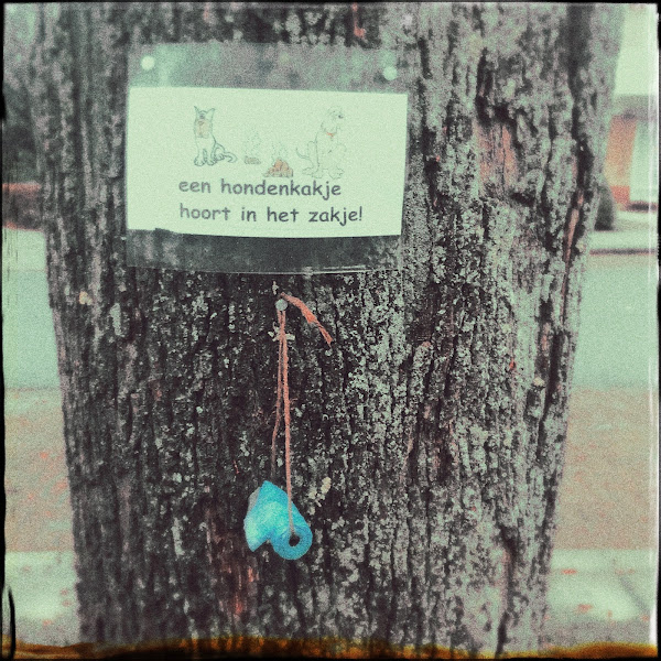 Tekst 'Een hondenkakje hoort in het zakje' op een boomstam