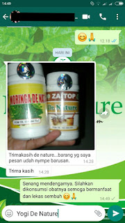 Cara Penggunaan Obat Asam Lambung De Nature Indonesia