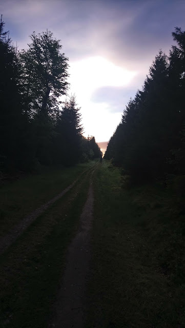 Sauerland wandern Wetter blog Schmallenberg bad Berleburg Bericht Hollenmarsch 2019 101km Rothaarsteig X6 Robert-Kolb-Weg 