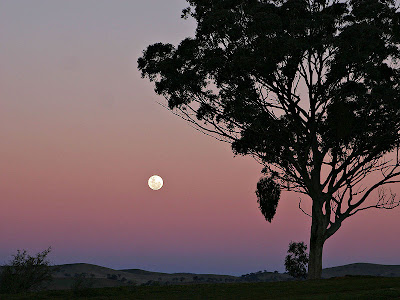 800px Moon and red blue haze Fenomena Fenomena Alam yang Paling Sulit Ditemukan