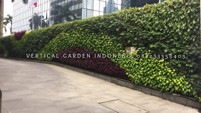 VERTICAL GARDEN INDONESIA SPESIALIS JASA PEMBUATAN VERTICAL GARDEN DI BANJARNEGARA JAWA TENGAH DAN DI SELURUH WILAYAH JAWA TENGAH DENGAN TENAGA YANG PROFESIONAL DAN DAPAT DI PERCAYA YANG SELALU MENGUTAMAKAN SEBUAH MUTU DAN KUALITAS PEMASANGAN VERTICAL GARDEN/TAMAN DINDING, JASA TUKANG TAMAN VERTICAL BANJARNEGARA JAWA TENGAH, JASA VERTICAL GARDEN BANJARNEGARA JAWA TENGAH