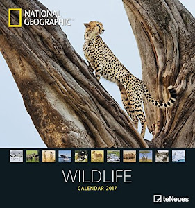 Wildlife 2017: National Geographics Tierkalender