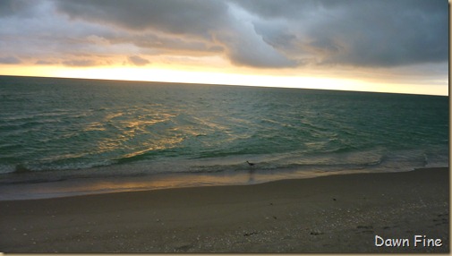 captiva evening_020