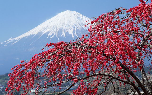 Paisajes de Volcanes