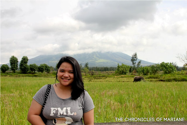 mayon albay travel