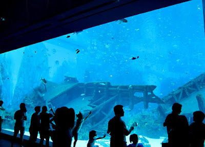 Aquarium Singapore