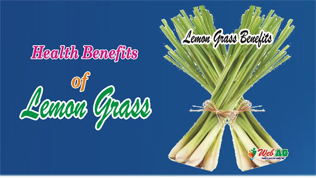 Lemon Grass Benefits | Health Benefits of Lemon Grass