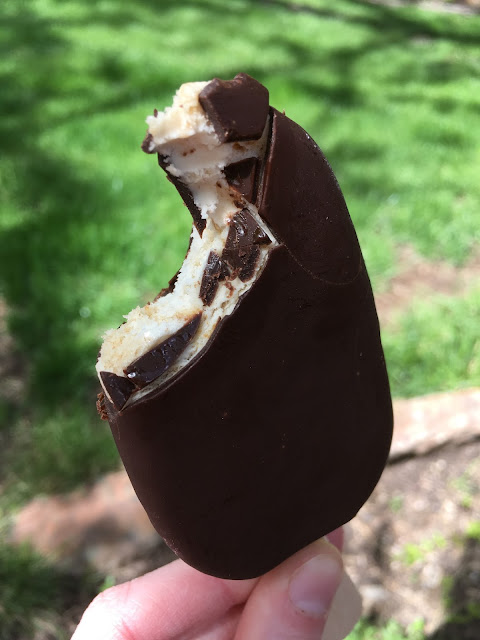 in that place are plenty of gluten gratis too vegan H2O ice cream brands to select from vii Gluten Free too Vegan Ice Cream Brands That Will Blow Even Dairy-Lovers Away