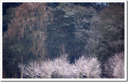 17 Jan 11 17-01-2012 11-00-46.ORF