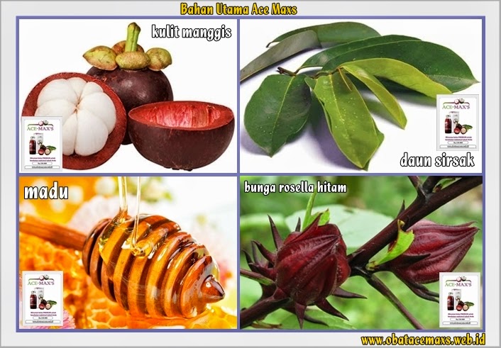 http://pengobatanherbalkankerprostat17.blogspot.com/2014/06/pengobatan-herbal-kanker-prostat.html