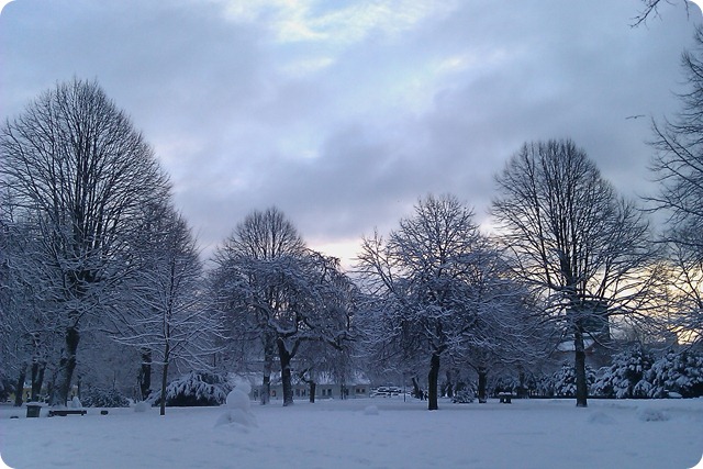 IMAG0672