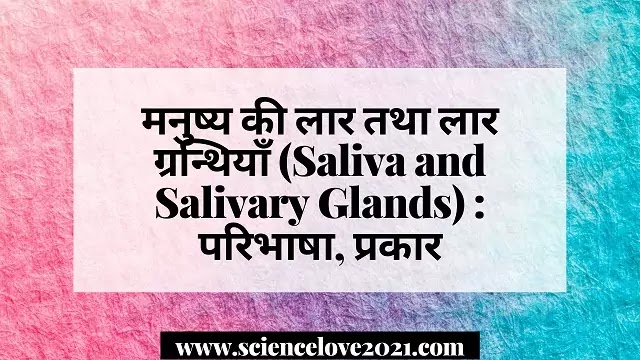 मनुष्य की लार तथा लार ग्रन्थियाँ (Saliva and Salivary Glands) : परिभाषा, प्रकार|hindi