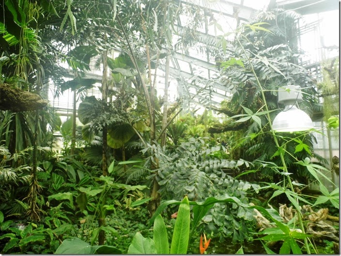 Jardin Botanique de Genève