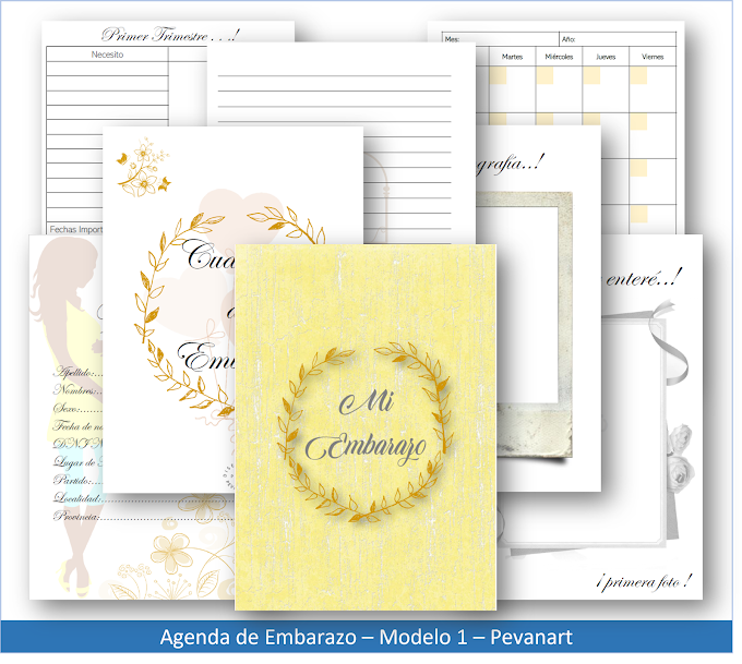 Agenda de Embarazo - Modelo 1 (COSER )