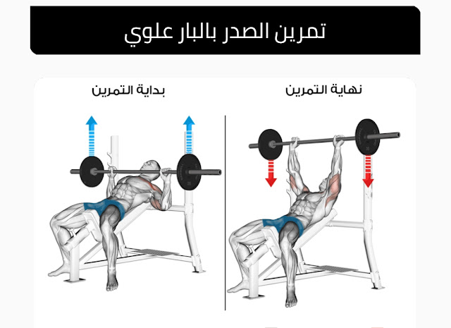 تمرين Incline Bench Press من أفضل تمارين الصدر في الجيم