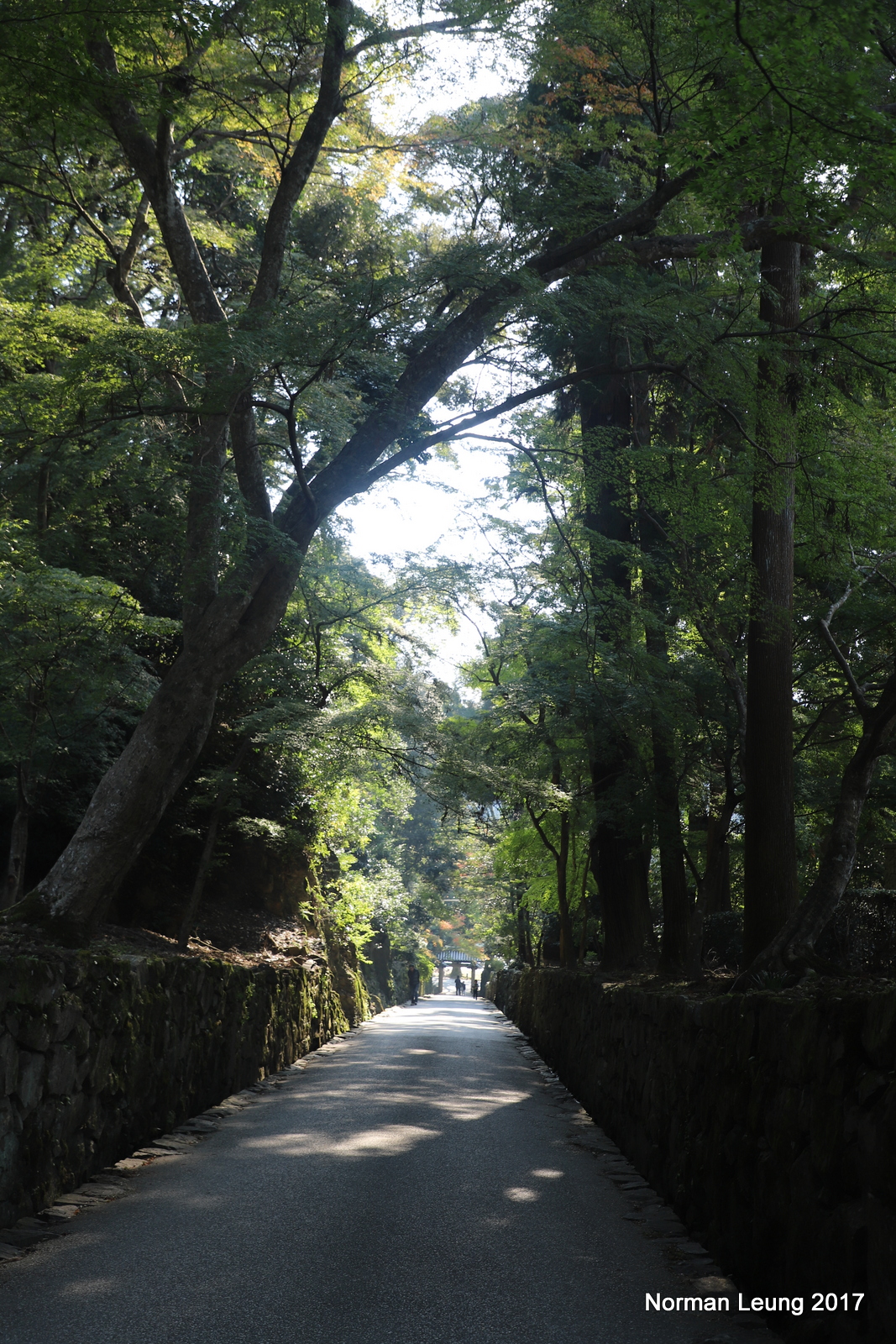 京都寺廟遊 宇治興聖寺