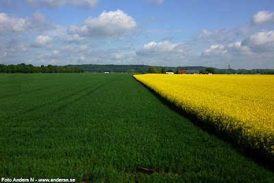 bayern, tyskland, deutschland, germany