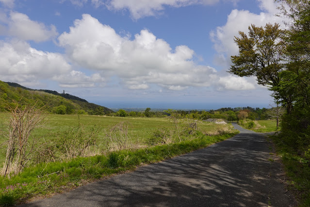 鳥取県西伯郡大山町松河原 牧草地の風景