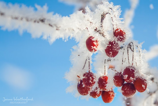 Freezing Fog frost Winter Bend Oregon Snow Jaime Weatherford