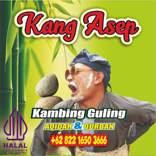 Harga Kambing Guling Cikampek Karawang,Kambing Guling Cikampek Karawang,Kambing Guling Cikampek,Kambing Guling Karawang,Kambing Guling,