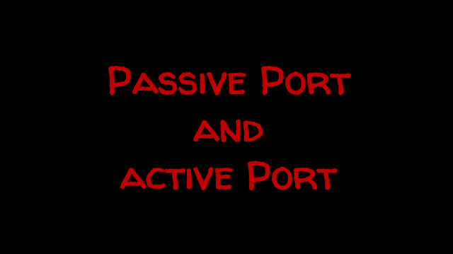 Passive Port and Active Port
