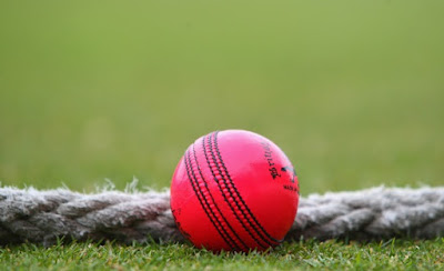 India opinion on day night cricket pink balls 