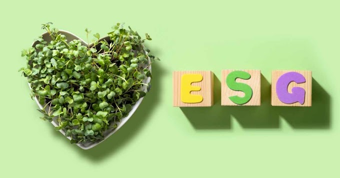 What Is ESG Investment? Why It's Expanding In The World?