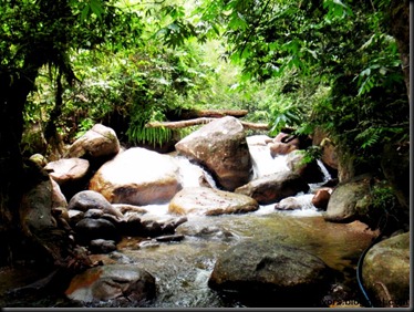 P3200079Kedondong