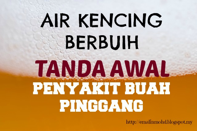 Air Kencing Berbuih Tanda Awal Penyakit Buah Pinggang 