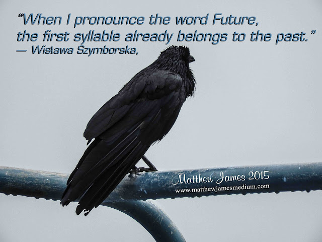 'When I pronounce the word Future, the first syllable already belongs to the past' - Wislawa Szymborska