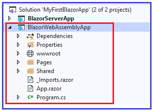 Blazor WebAssembly Project Structure